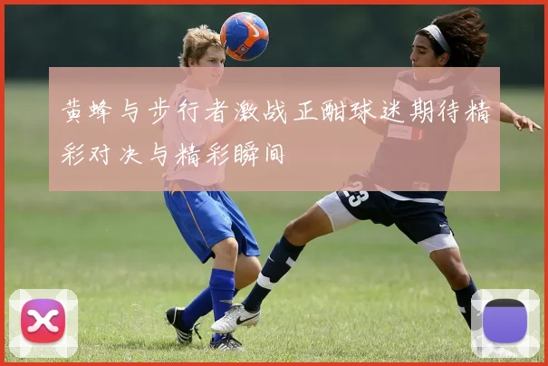 黄蜂与步行者激战正酣球迷期待精彩对决与精彩瞬间